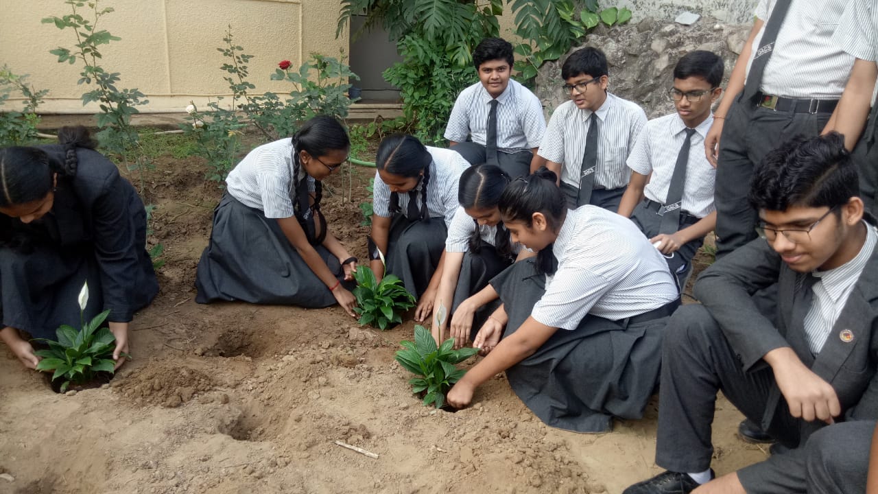 STD 9 Supw Plantation